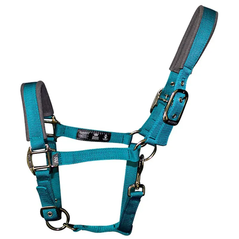 Woof Wear Contour Headcollar in Ocean